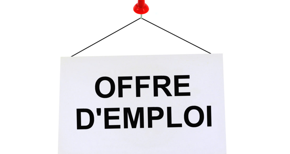 Offre d emploi agent de developpement des energies renouvelables