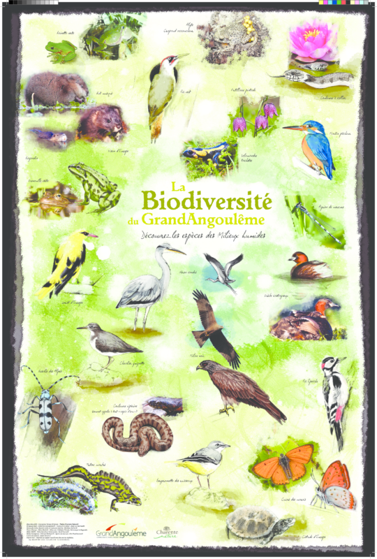 Affiches sur la biodiversité
