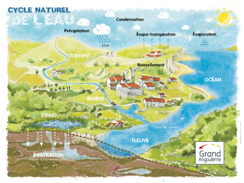 Cycle naturel de l’eau