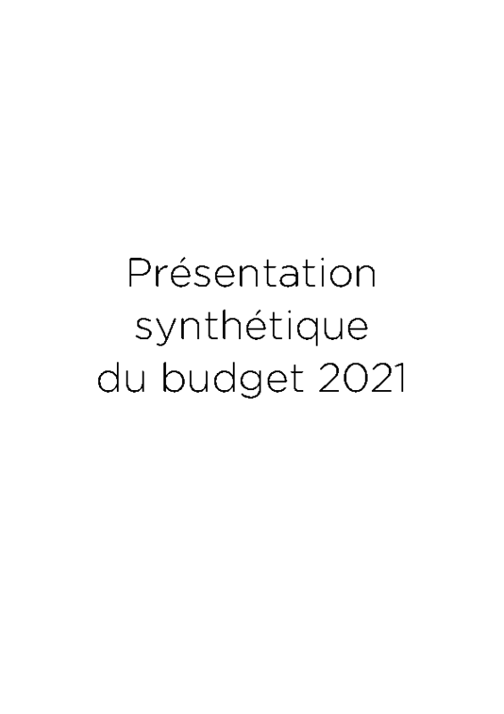 Rapport synthétique BP2021