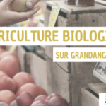 Soutien à l'agriculture biologique