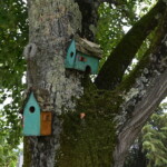 Le Jardin des Enfants